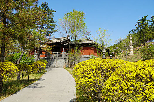 xổ số keno