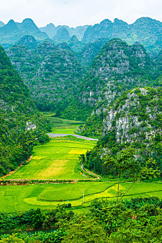 xổ số thành phố trực tiếp