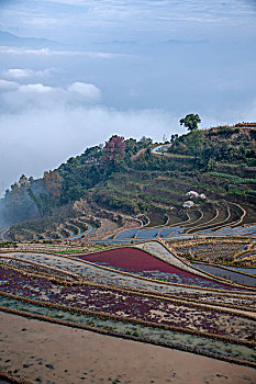 cach tinh lo xien