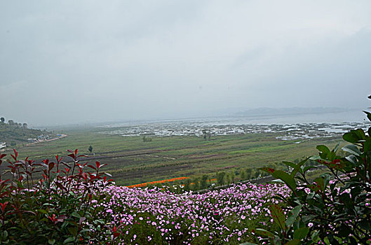 soi cau lo bach thu khung 3 ngay