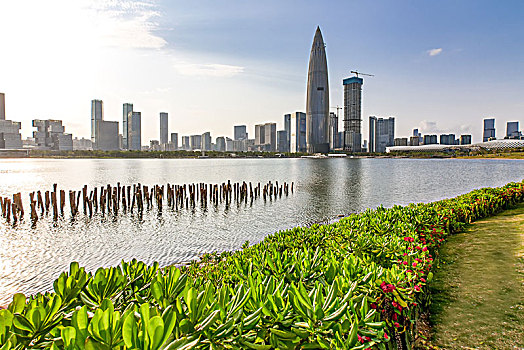 xs quảng ngãi