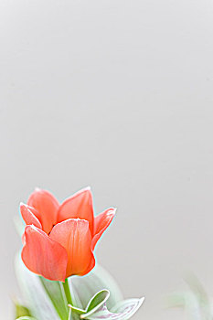 xổ số đại nam