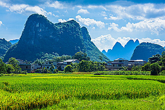 xsmn minh ngoc thu 5