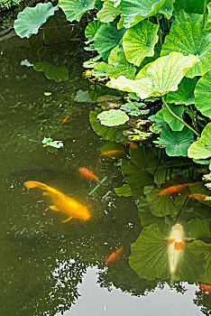 du doan xo so da nang