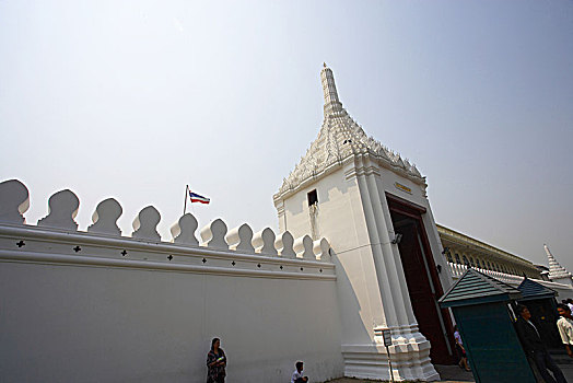 soi cau bach thu tp
