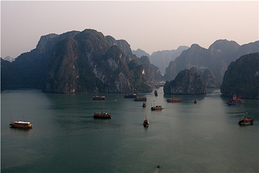 lo gan rong bach kim