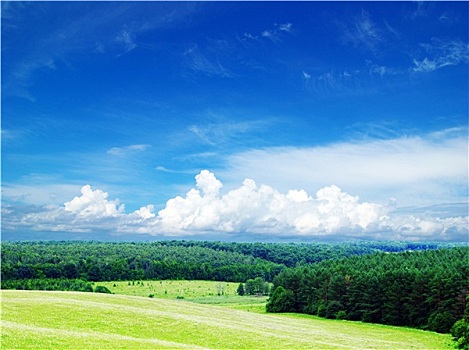 soi cau bach thu lo