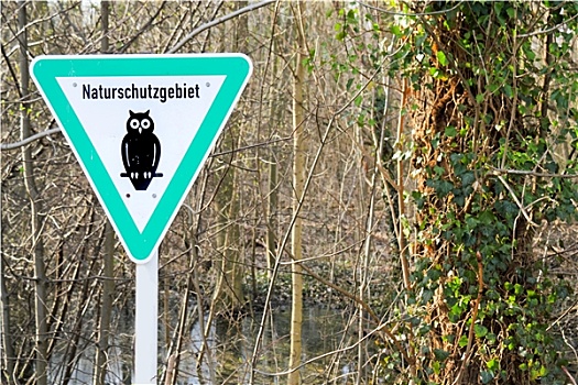 cau bach thu la