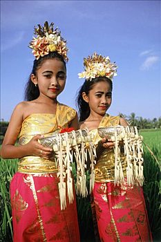 bạch thủ lô tô
