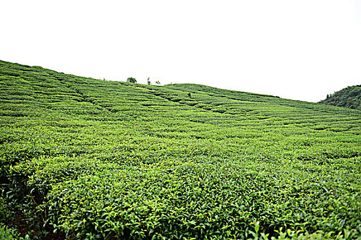 các kiểu đánh lô đề