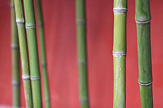 dự đoán xổ số
