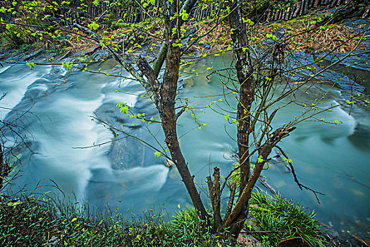 xs đài bắc