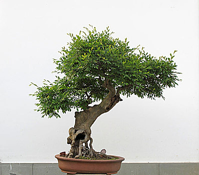 xổ số quảng bình hôm nay