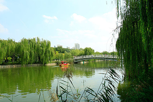 du doan soi cau