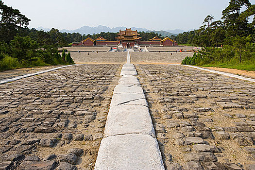 lo gan rong bach kim