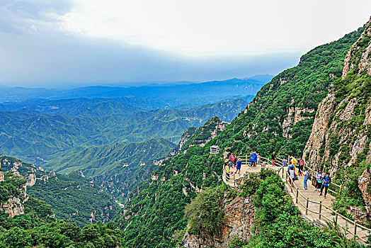 soi cau lo de rong bach kim