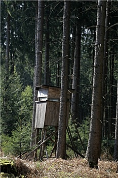 du doan dlk