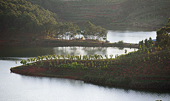 lô khung 247