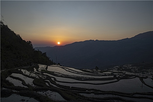 lo kep trong ngay