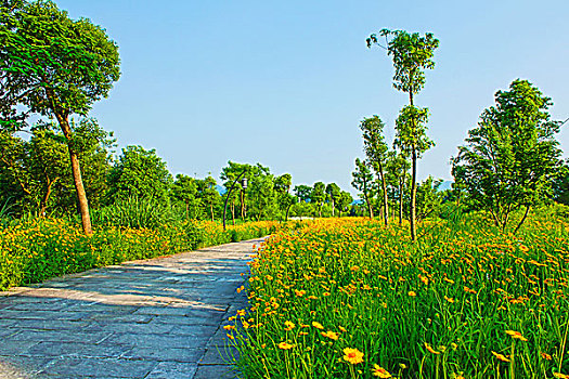 soi cau xsmb rong bach kim