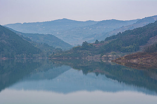 lô bạch thủ miền bắc