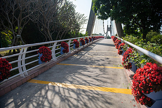 soi bạch thủ lô miền bắc hôm nay