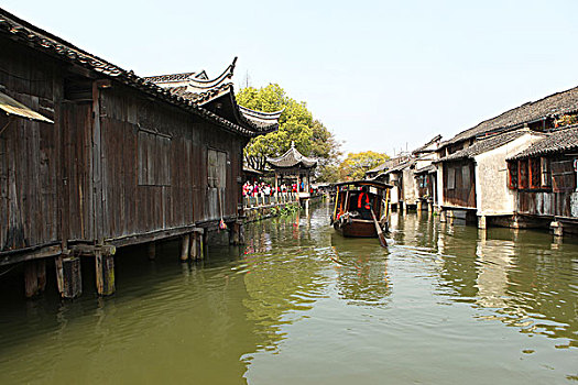 bach thu lo 366