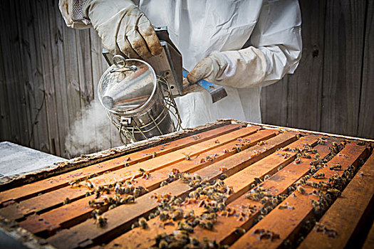 xổ số đà lạt