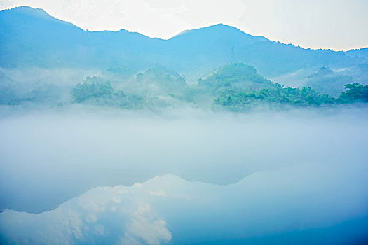 bạch thủ lô