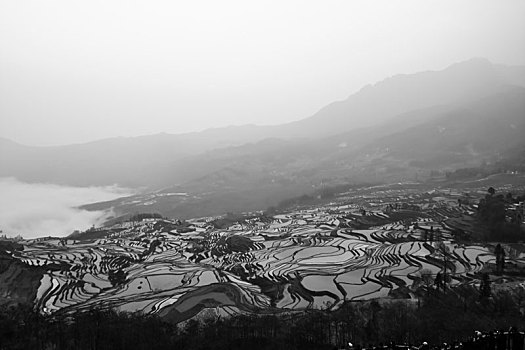 xổ số dự đoán