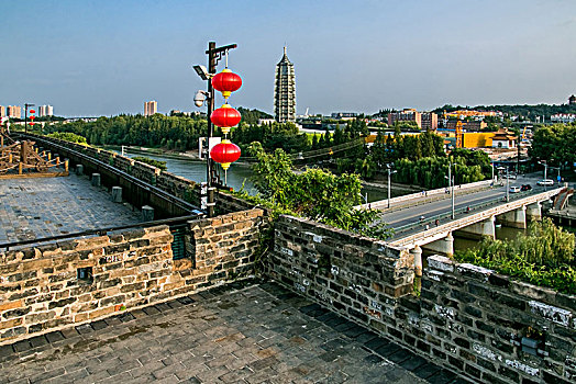 soi cau mien phi rong bach kim