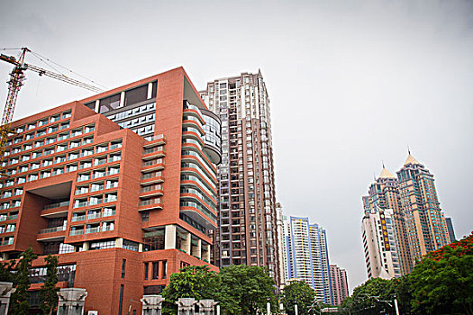 soi cau 366 mien phi