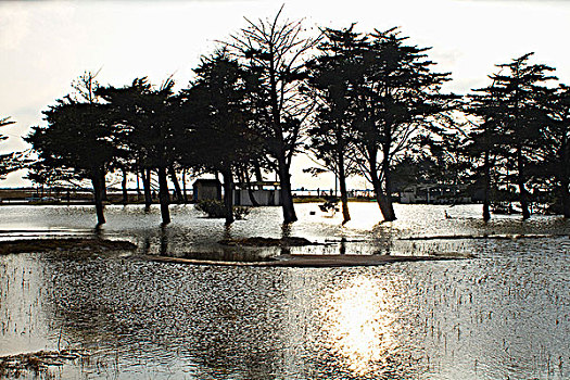 nha cai lo de