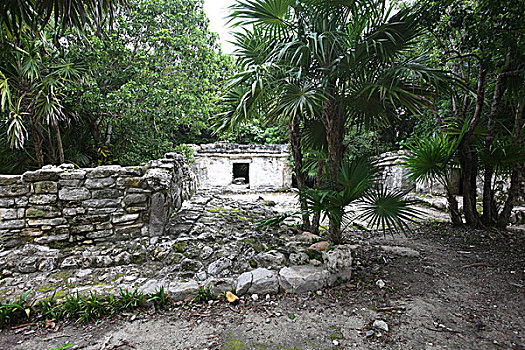 soi cau sieu chuan 888
