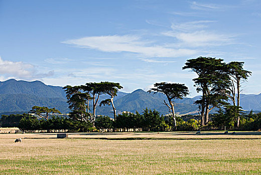 dự đoán xsmb