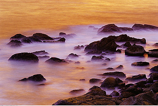 xô số hôm nay