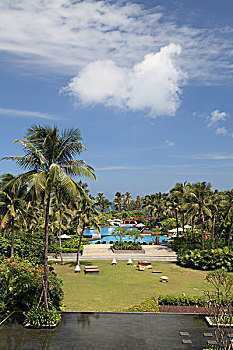 minh ngọc trực tiếp
