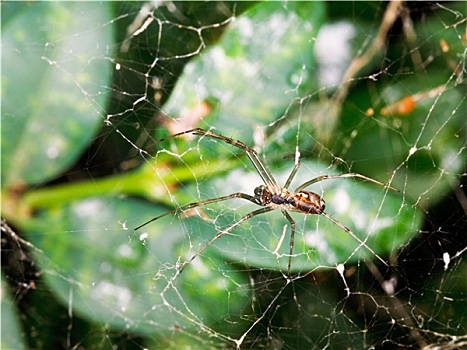dự đoán xổ số miền nam ngày hôm nay