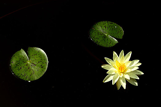 bí quyết đánh lô đề