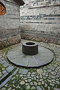 phân tích lô bạch thủ