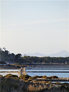 du doan mb