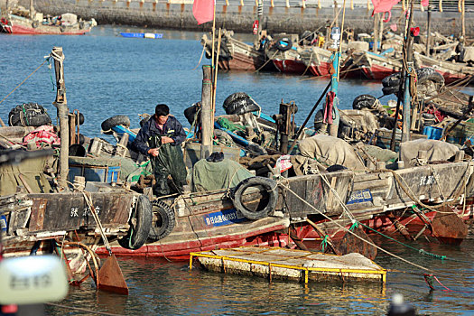 lô gan miền bắc