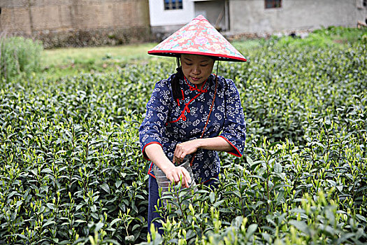 thống kê xsmb theo tuần