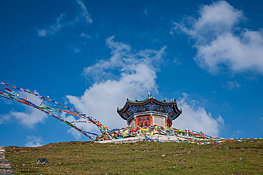 du doan dau duoi