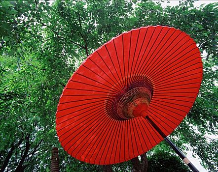 kết quả xổ số miền bắc 60 ngày