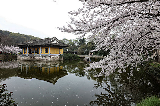 soi cau chuan 14