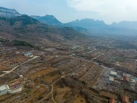 soi cau binh dinh wap