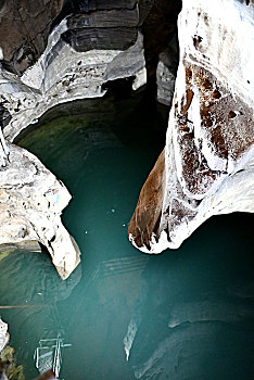 lo kep khung 5 ngay rong bach kim