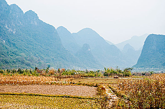 soi cầu lo vip