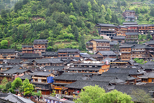 soi cau bach thu khung 3 ngay